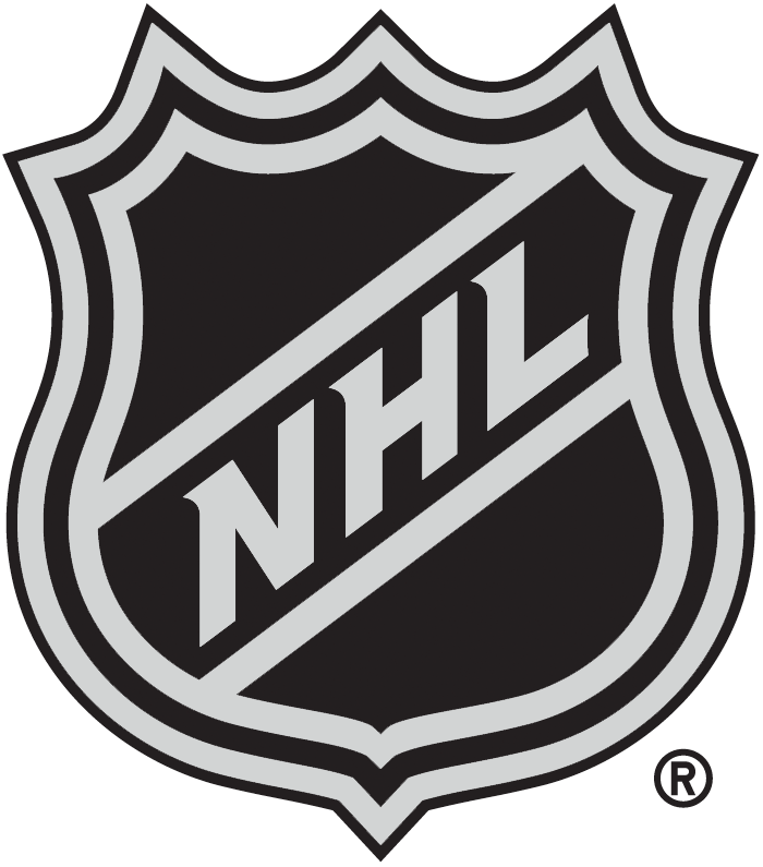 National Hockey League 2005-Pres Alternate Logo DIY iron on transfer (heat transfer)